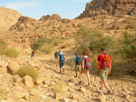 Day tour at Dana nature Reserve