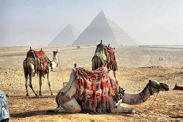 Egitto in 15 giorni Il Cairo, Aswan, crociera e Sharm El Sheikh