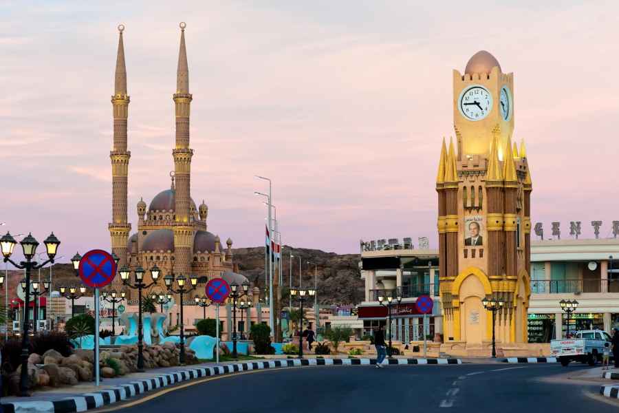 World of Shadi Abdel Salam