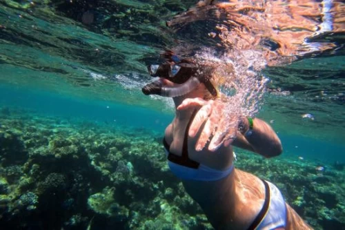 Snorkeling tours in Taba