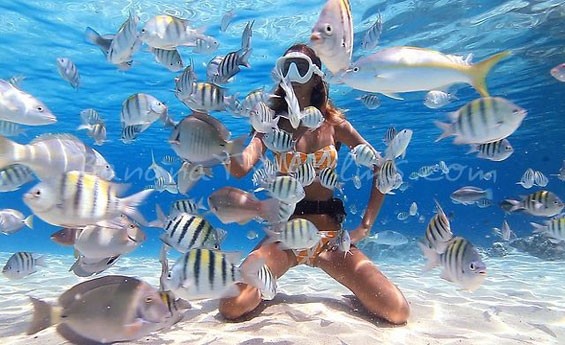 赫尔格达的沙姆那伽（Sharm el Naga）浮潜之旅