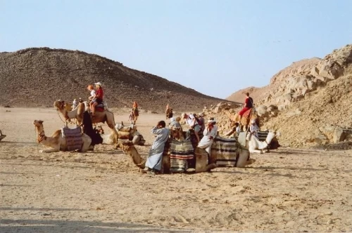 desert safari in hurghada Bedouin Safari Excursions by 4x4
