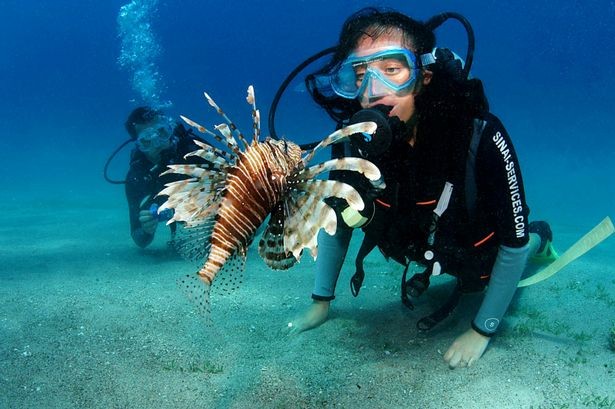 Ras Mohamed Schnorcheltouren ab Dahab