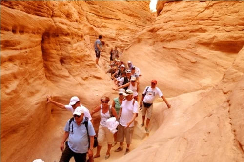 Passeio do safári para o Canyon Colorado de Dahab