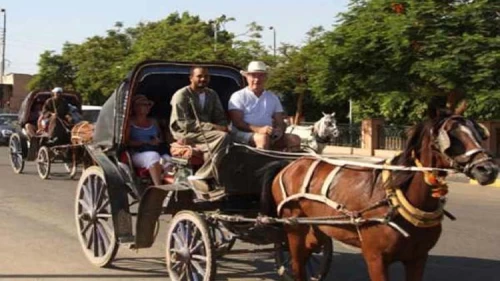 Aswan City Tour by Horse Carriage