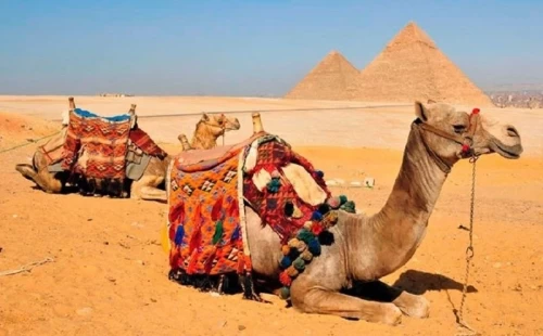 11 days Sharm Cairo tour Packages from taba