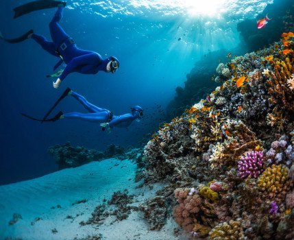 Egypt’s Most Famous Snorkling Sites: A Comprehensive Guide to an Underwater Paradise