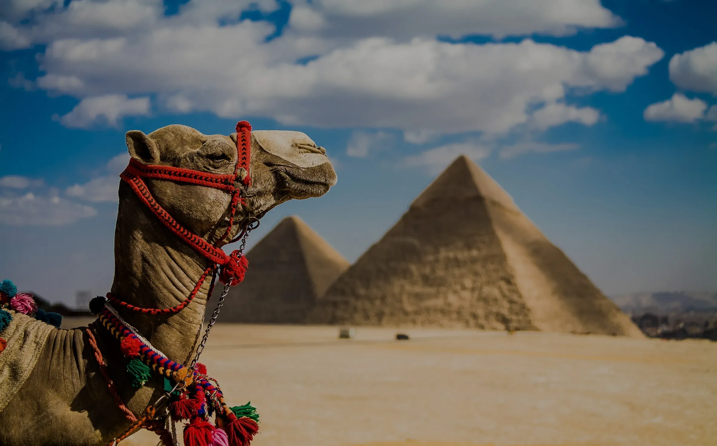 7 days Egypt pyramid tour packages : Cairo and Nile cruise tours