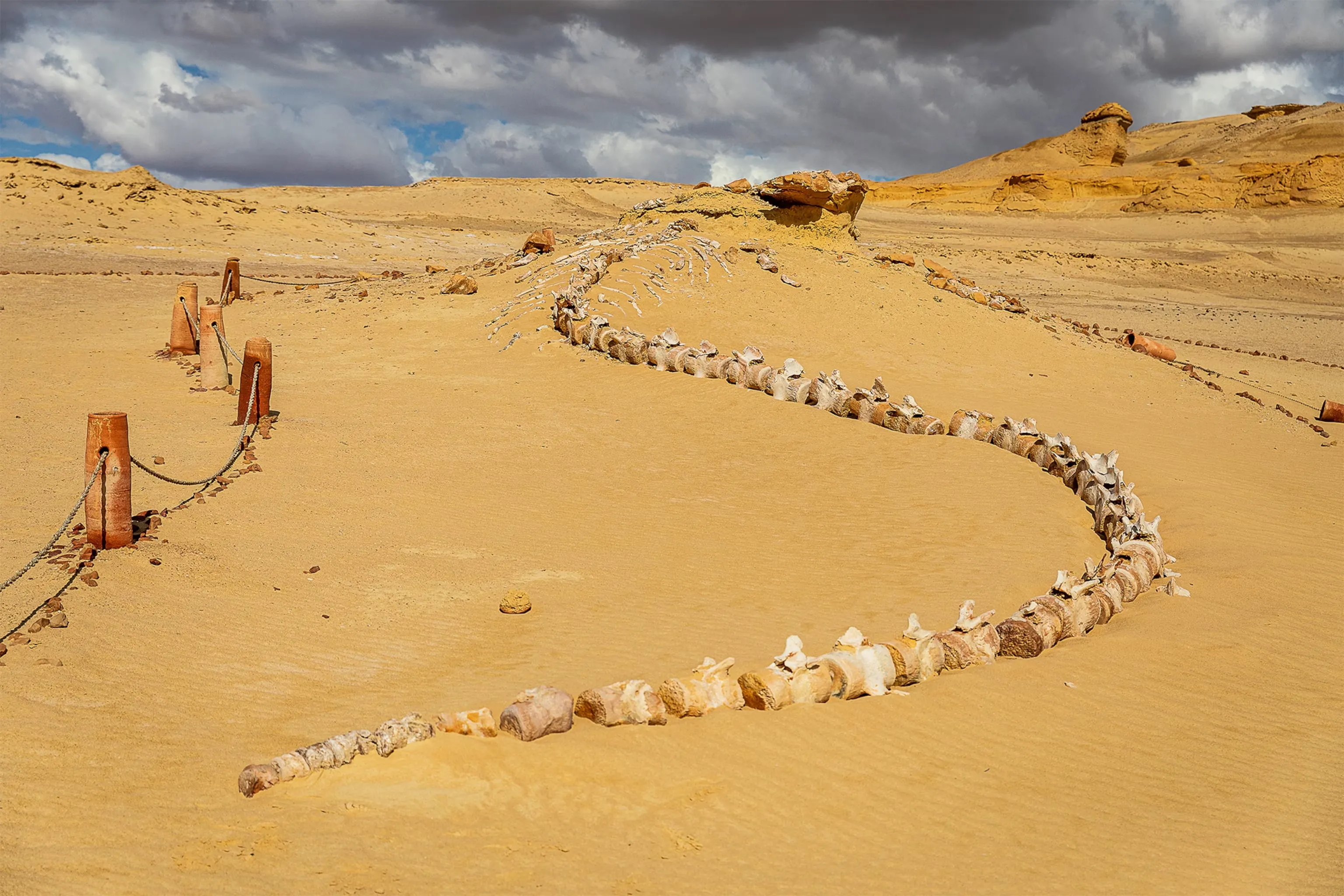 Discover Wadi El Rayan and  Wadi Hitan with Cairo Desert Safari