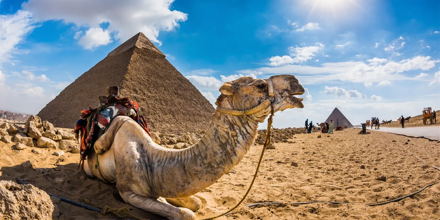 Migliori pacchetti turistici per l’Egitto dagli USA 2025 | Il Cairo, Crociera sul Nilo e Offerte sul Mar Rosso