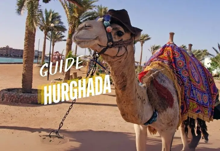 I tour di un giorno a Hurghada fanno per te? Leggi prima di prenotare.
